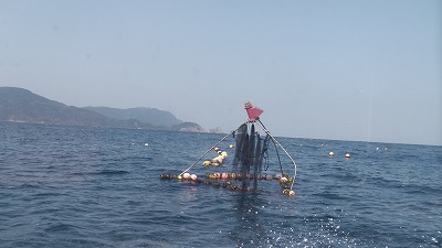 IMGA0434.2018.3.30.jpg