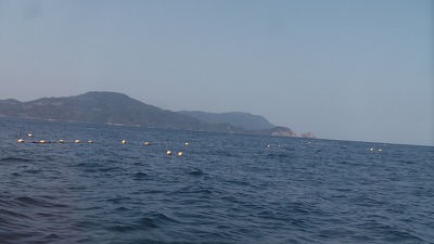 IMGA0435.2018.3.30.jpg