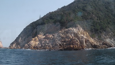 IMGA0440.2018.3.30.jpg