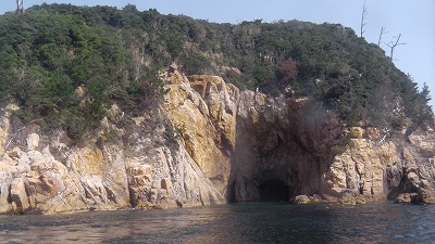 IMGA0447.2018.3.30.jpg