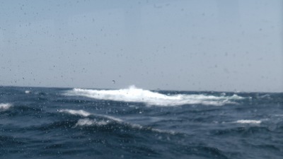 IMGA0461.2018.3.30.jpg