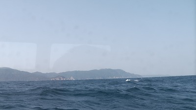 IMGA0462.2018.3.30.jpg