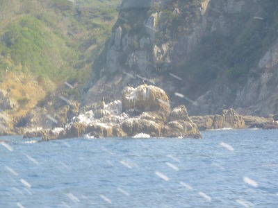 IMG_5919.jpg