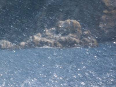 IMG_5920.jpg