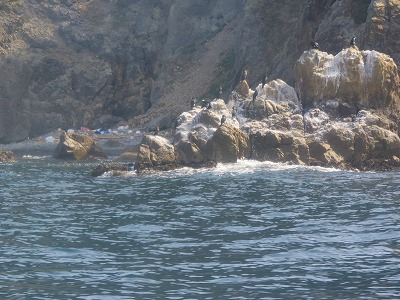 IMG_5923.jpg