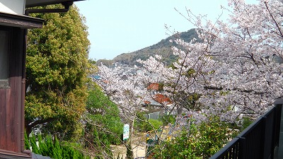 IMGA0684.jpg