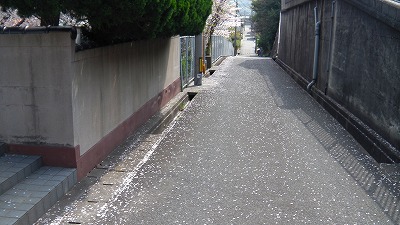 IMGA0701.jpg
