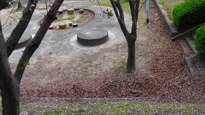 IMGA0706.jpg