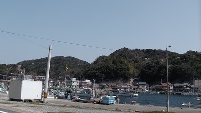 IMGA0545.2018.3.30.jpg