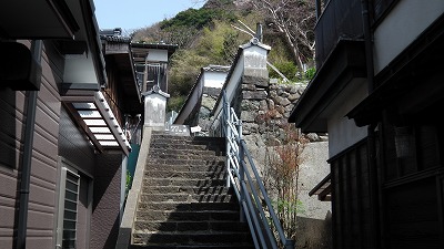 IMGA0565.2018.3.30.jpg