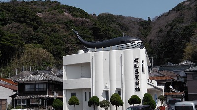 IMGA0576.2018.3.30.jpg
