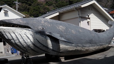 IMGA0585.2018.3.30.jpg