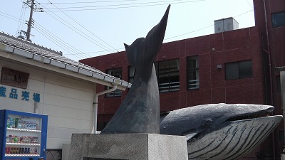 IMGA0550.2018.3.30.jpg