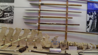 IMGA0556.2018.3.30.jpg