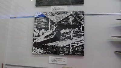 IMGA0557.2018.3.30.jpg