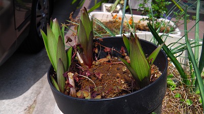 IMGA0693.2018.4.1.jpg