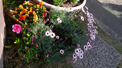 IMGA0717.2018.4.3.jpg