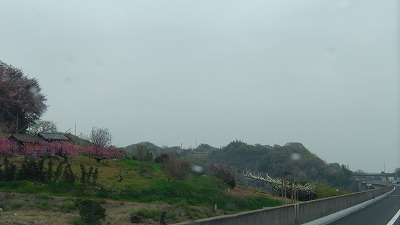 IMGA0761.2018.4.6.jpg