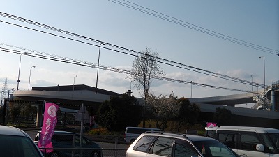 IMGA0825.2018.4.7.jpg