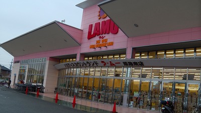IMGA0772.2018.4.6.jpg