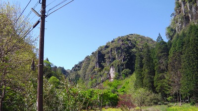 IMGA0860.2018.4.13.jpg