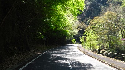 IMGA0876.2018.4.13.jpg
