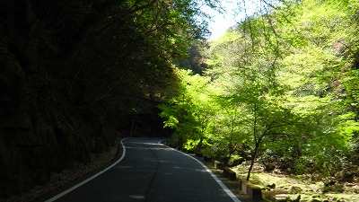 IMGA0882.2018.4.13.jpg