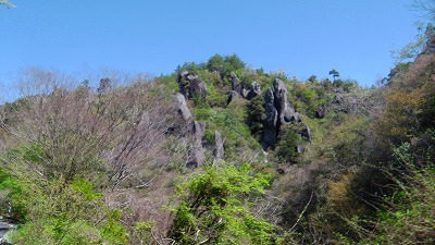 IMGA0883.2018.4.13.jpg