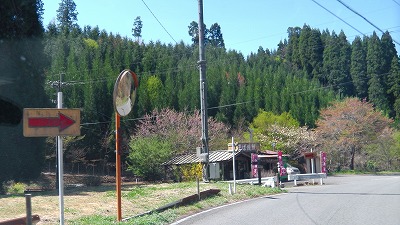 IMGA0887.2018.4.13.jpg