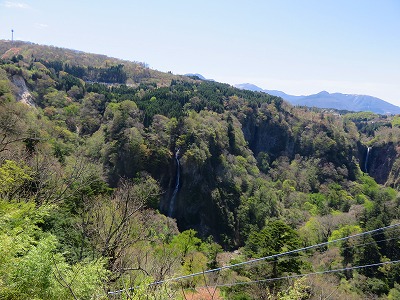 IMG_5977.2018.4.13.jpg