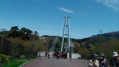 IMGA0898.2018.4.13.jpg