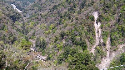 IMGA0908.2018.4.13.jpg