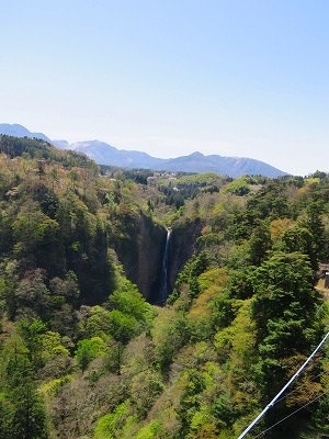 IMG_5987.2018.4.13.jpg