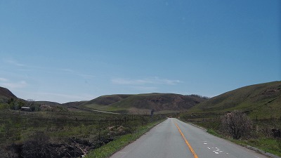 IMGA0951.2018.4.13.jpg