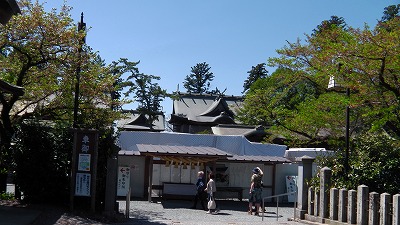 IMGA0956.2018.4.13.jpg