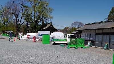 IMGA0961.2018.4.13.jpg