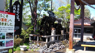 IMGA0964.2018.4.13.jpg