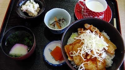 IMGA0925.2018.4.13.jpg