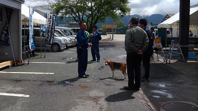 IMGA0041.2018.4.14.jpg