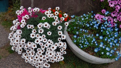 IMGA0129158.2018.4.18.jpg