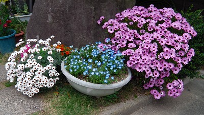 IMGA0141158.2018.4.18.jpg
