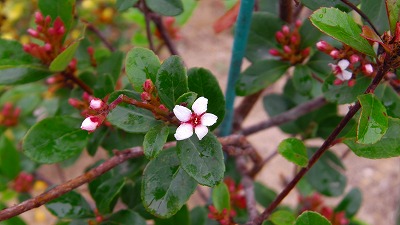 IMGA0148158.2018.4.18.jpg