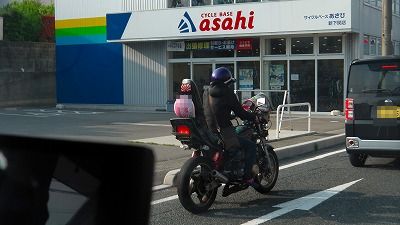 IMGA0302.2018.4.27.jpg