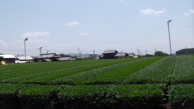 IMGA0373.2018.5.4.JPG