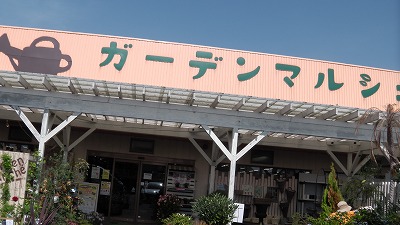 IMGA0377.2018.5.5.jpg