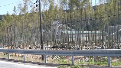 IMGA0171.2018.4.20.jpg