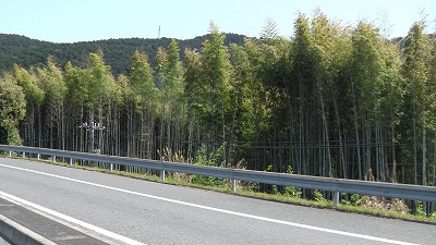 IMGA0175.2018.4.20.jpg