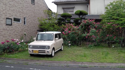 IMGA0481.2018.5.8.jpg