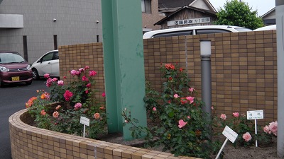 IMGA0483.2018.5.8.jpg