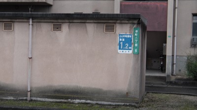 IMGA0501.2018.5.8.jpg